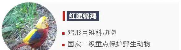 象头山|还在为穿衣搭配发愁？让“时尚达人”给你一些新思路！