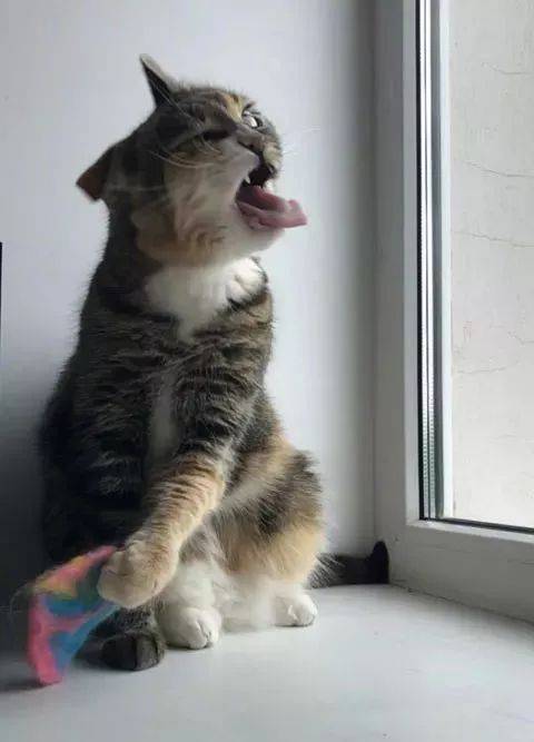 883c5f0afb7847c99811fefa18ec24d6.jpeg