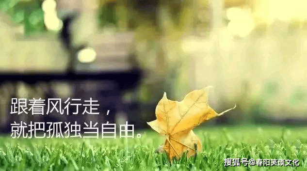 cb337a4167f94ff9ba613249f0fa04f6.png