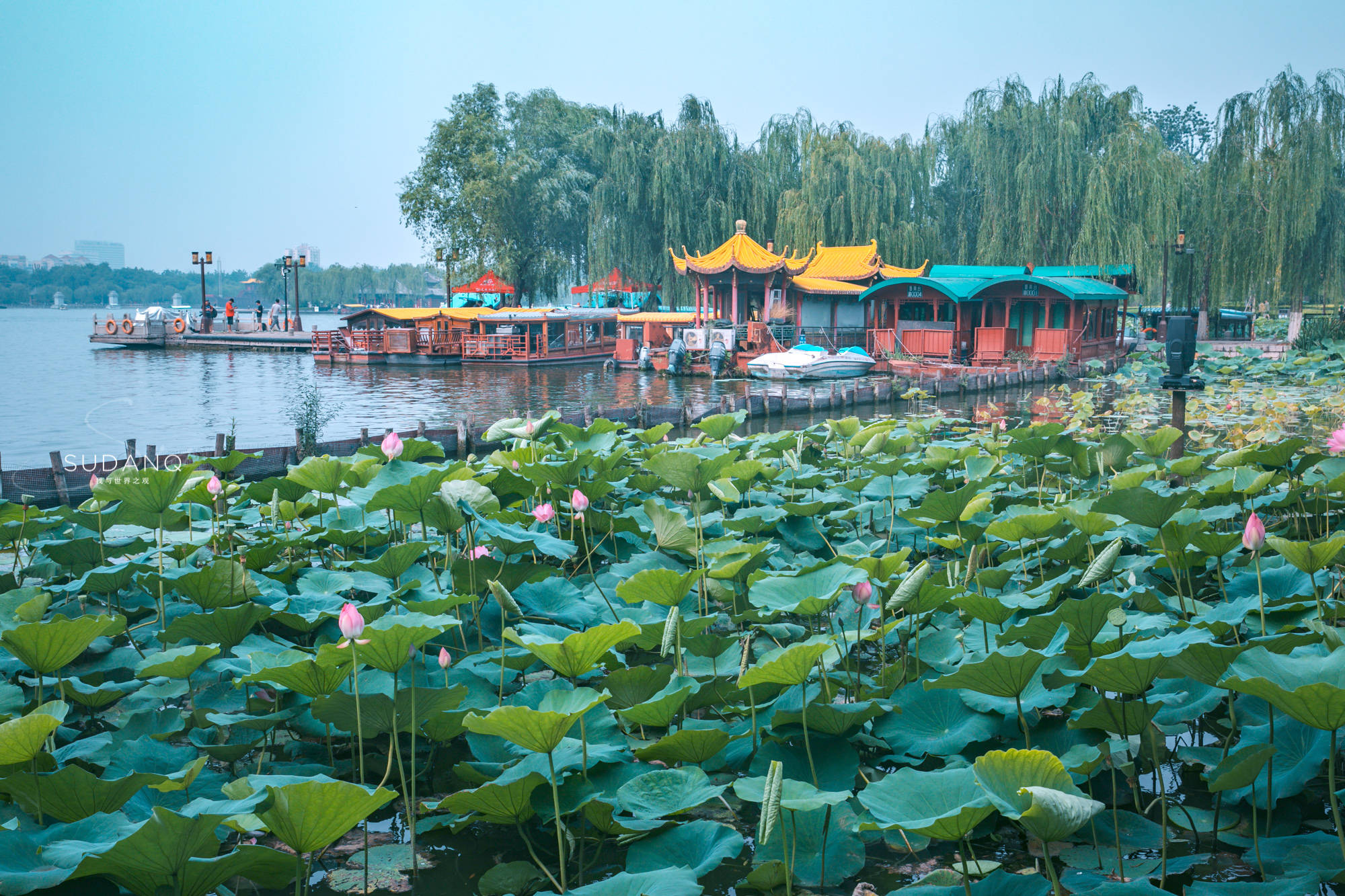 网友劝我夏天别来济南!天下第一泉已有3500年历史,令人无限向往