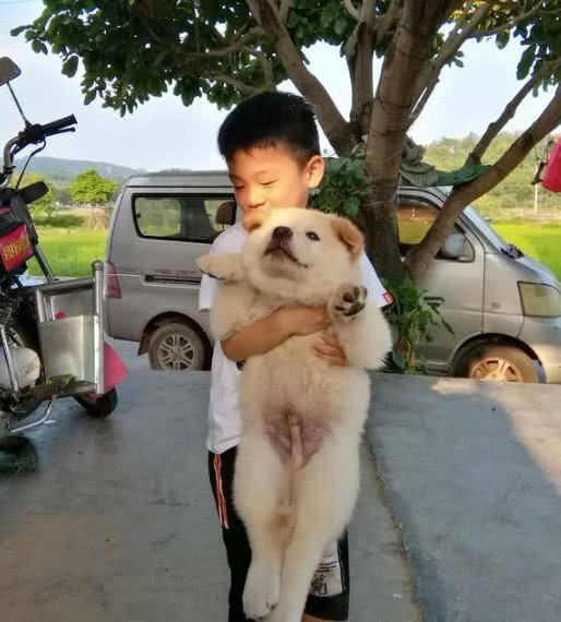 狗狗被拋棄, 主人稱養土狗沒面子, 男孩抱回家後把它當個寶! 萌趣萌寵 第2张
