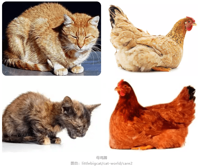 93219558d8754ce3babb8c18dfa056ff.png
