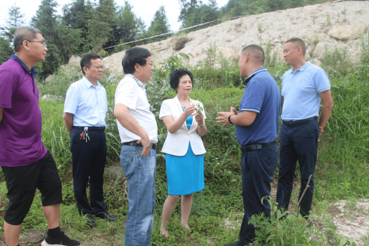 曾清在隆回县考察调研金银花生态种植示范基地