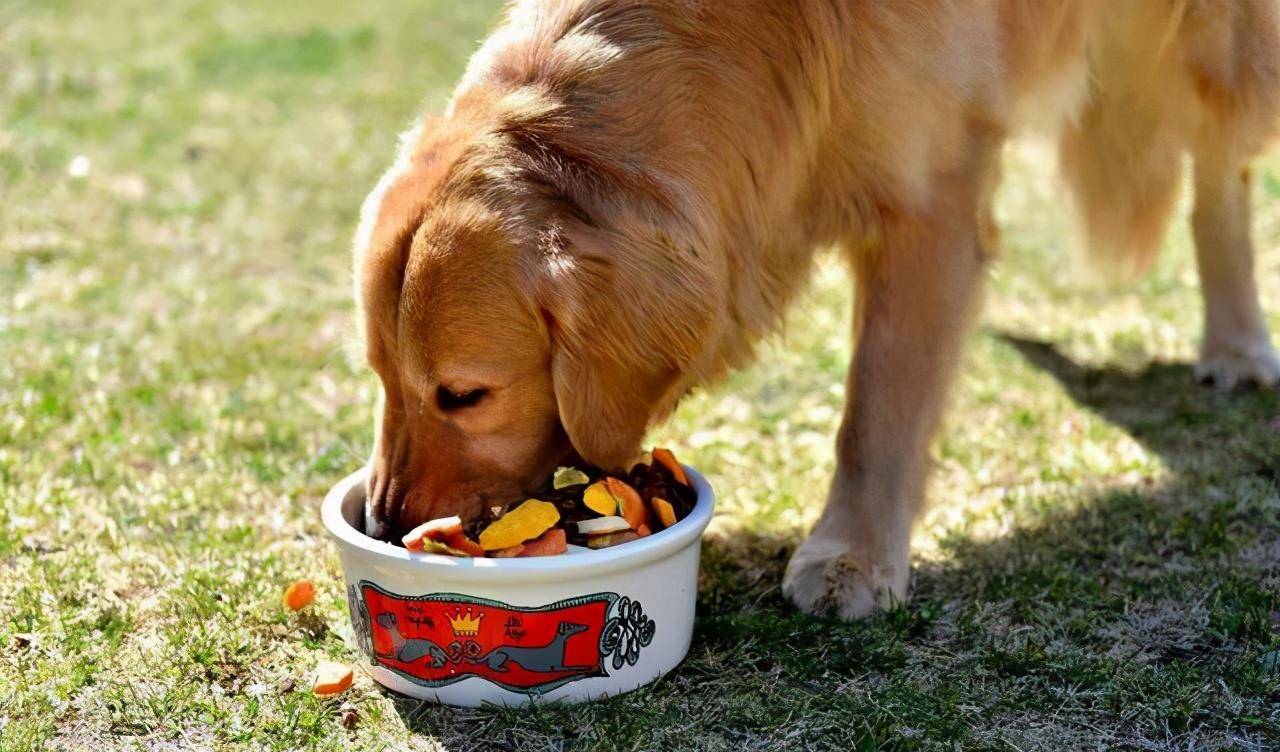 啥叫吸狗 3ab5ed6f51664b88883f3365ce00fbf7.jpeg