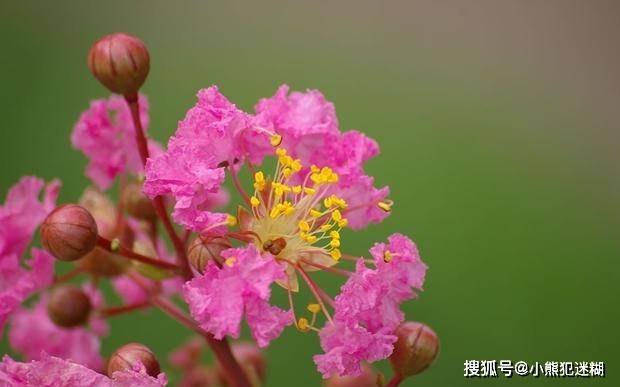 4月14日星座运势 双子脚踏实地 狮子把握机会 射手配合默契 感情 4月14日星座运势 双子脚踏实地 狮子把握机会 射手配合默契 感情