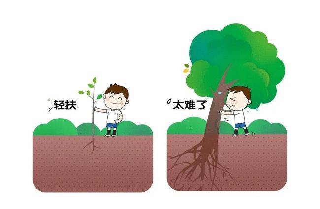 12岁严重面部畸形教师资格证被拒歪脸女孩的人生过去了