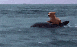 厕所|搞笑GIF：妹子，你跳的是真的好，忍不住看了好多遍