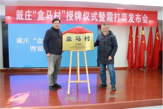 太空白茄子 是种什么茄子 盒马又带火一个小众蔬菜 戴庄