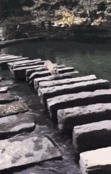 厕所|搞笑GIF：妹子，你跳的是真的好，忍不住看了好多遍