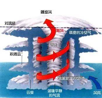 今年台风没有存在感也许是你不了解真相