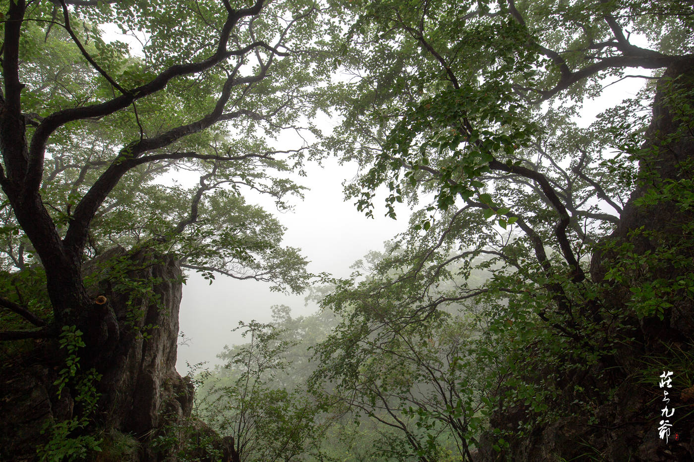 山奇崖|百年小县 却惊奇的藏着一座1700多年的古老山城