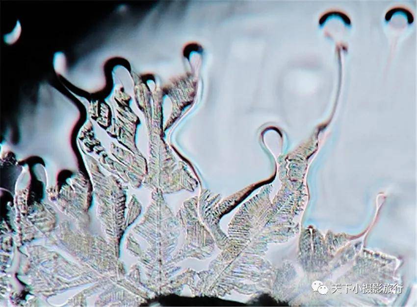 神话|冰窗花--冬天的神话