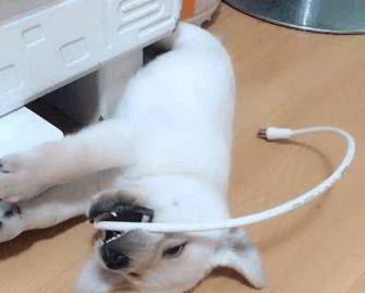 526641413f8b44ba8557a14819f0aeb8.jpeg
