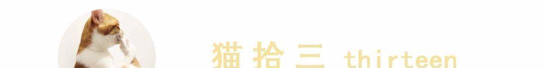 猫咪|腿长一米七，神似小柯基的短腿猫，打起架来无人能拦得住，好凶