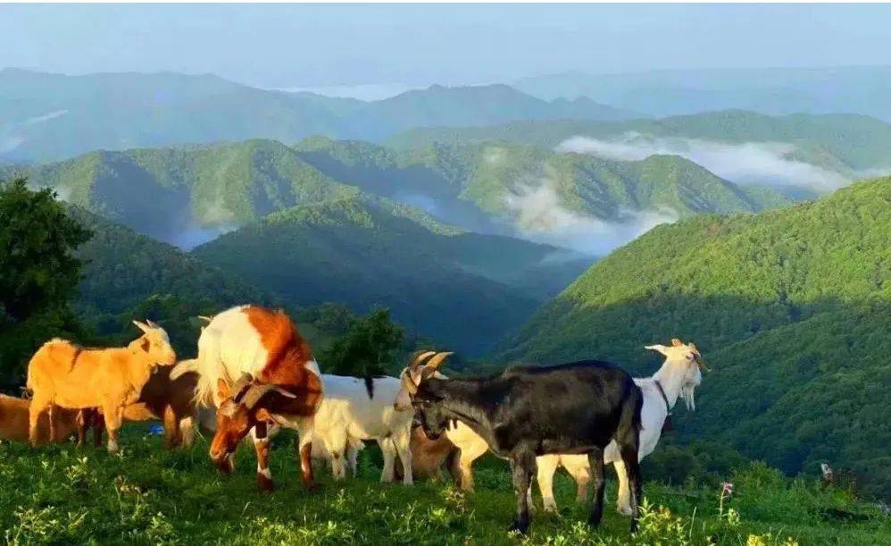 空气|相约关山 遇见21℃的夏天