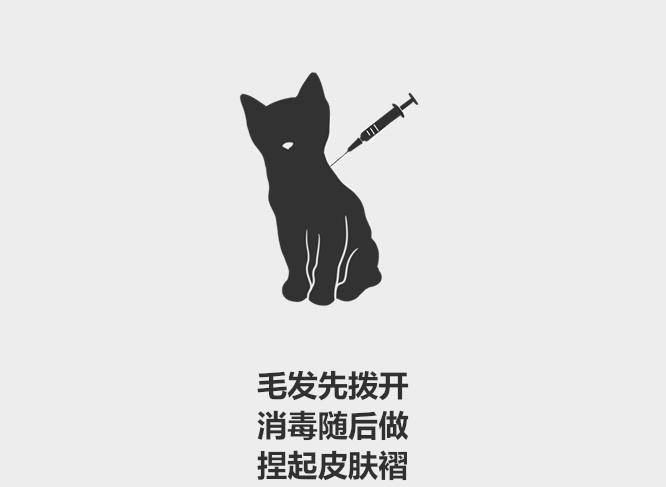 在家怎么给猫打疫苗 016dcf99c68d4de68bfa0921f208878d.jpeg