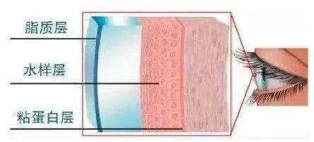 影响|【爱眼护眼75】泪膜对视觉质量的影响