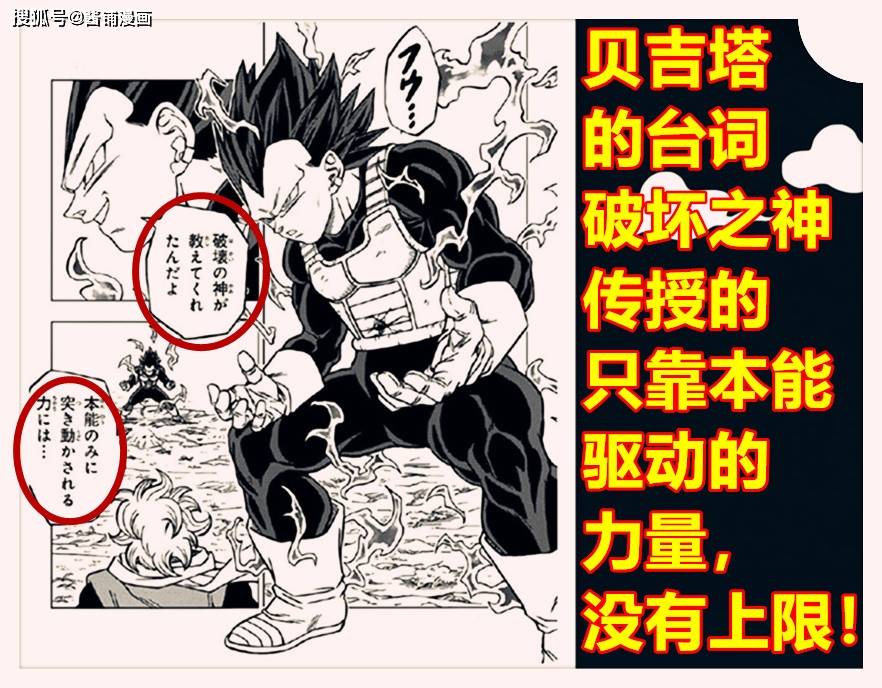 龙珠超 漫画74话 破坏神贝吉塔力量无限 粉丝却吐槽王子没有眉毛 众鸥网