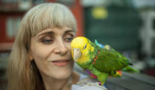 怎么教鹦鹉学舌 b3080cd5daa44e8cbf9ef5a429824437.jpeg