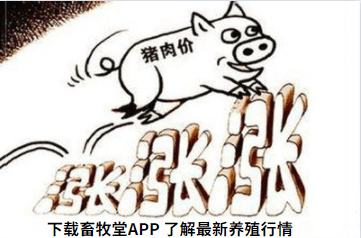 55f5ce4dabbe466bbf1d9a1ff25ed024.png
