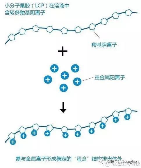 6d5cdc3579064b328f864d22c716f8d1.jpeg