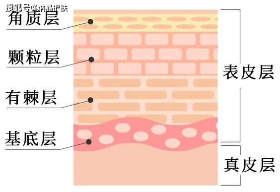 护肤品|皮肤过敏，屏障受损？纳晶纳米微针是如何助力敏感护肤