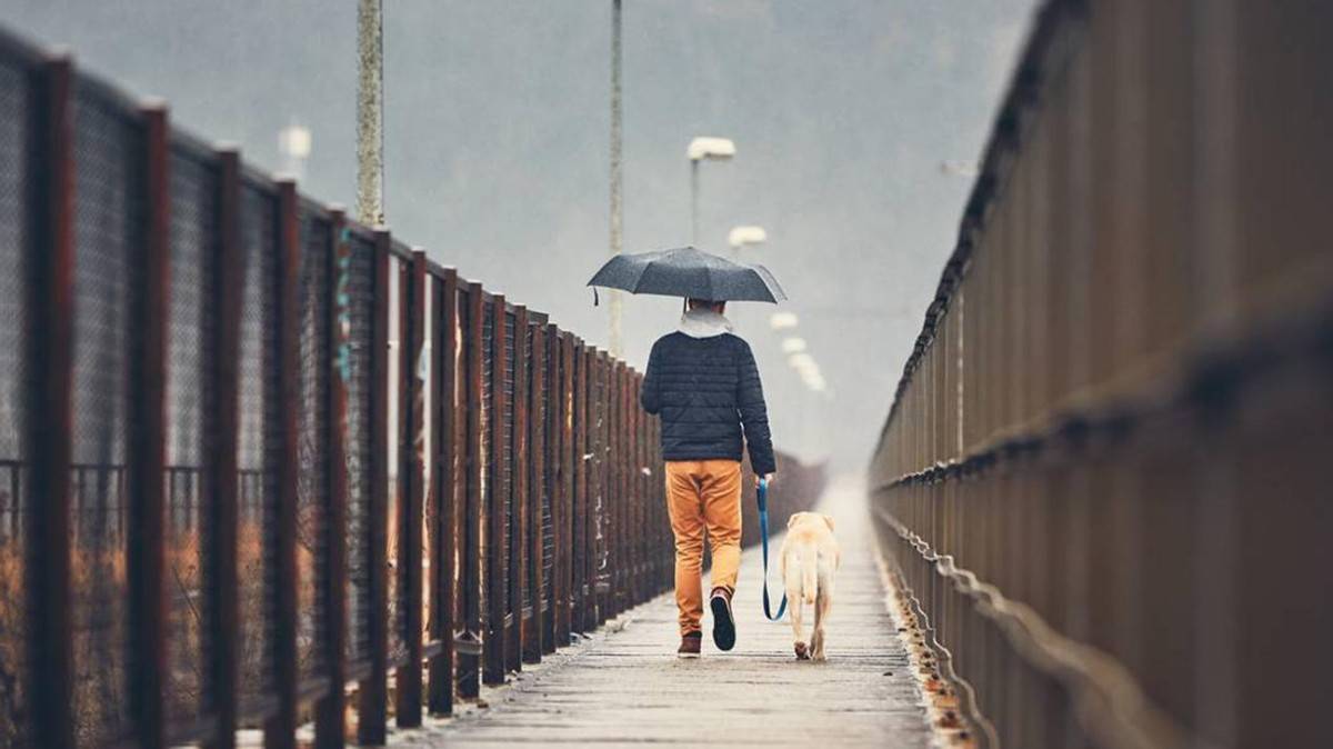 整体|雨季来了不要慌，穿搭好物用起来，出行干爽舒适还显气质！