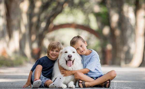 玩具|“一儿一女”的家庭组合，真的“好”吗？