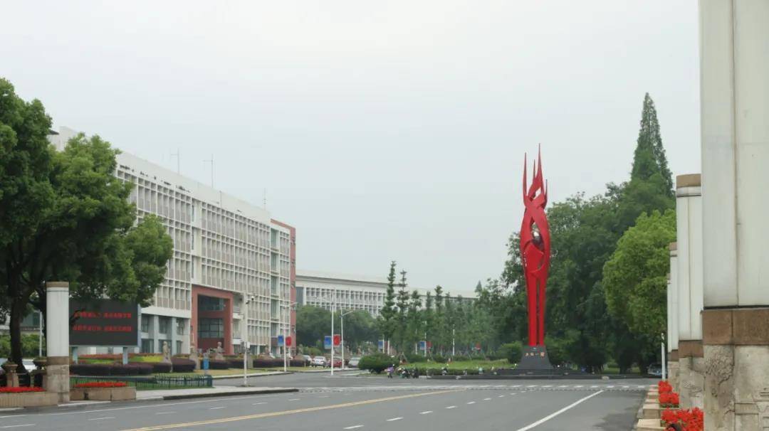 金职院早教专业指定教材这回指导在家早教该选谁了吧