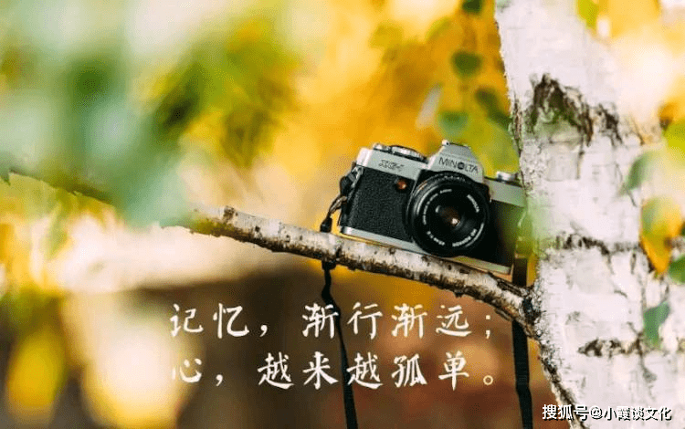 62930fa999a14d409223049d54114974.png