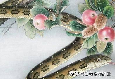 蛇贵人是谁呀 a337058a87f04035977c46925ea98717.jpeg