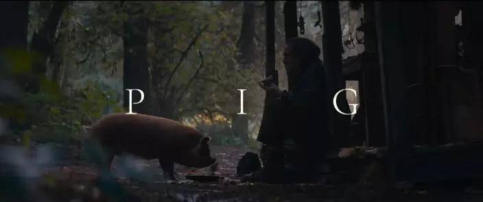 尼古拉斯凯奇|再见了，尼古拉斯凯奇，再见了，我的一代男神！