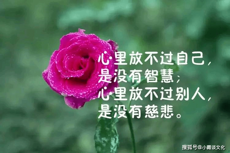 大彻大悟的10精美句子图片