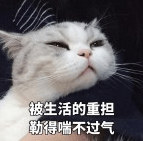 长痘痘|洗脸用洗面奶好还是香皂好?不少人都做错了,难怪皮肤越洗越差!