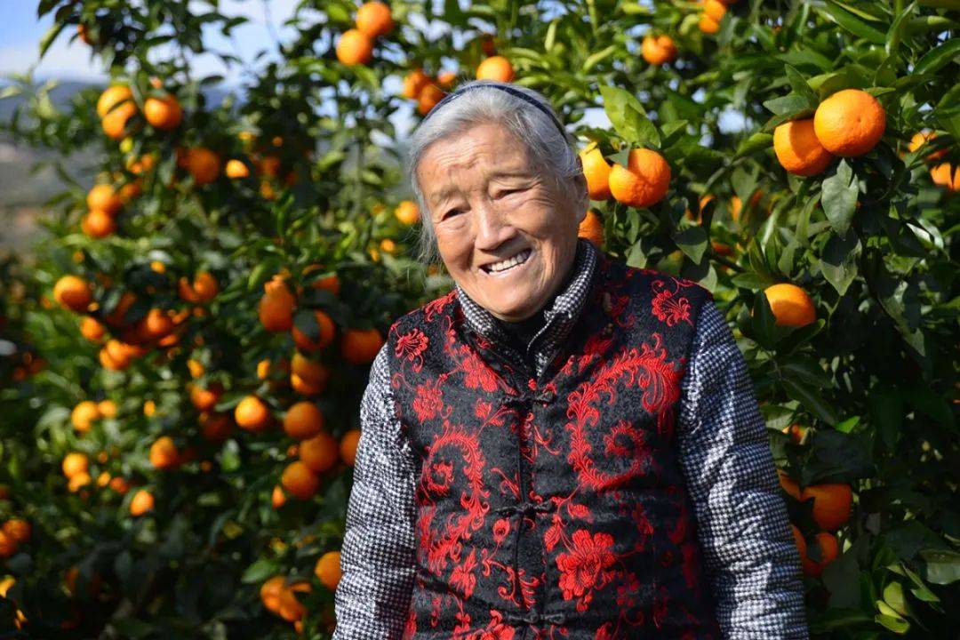 种橙子的商界女领袖!褚橙之母——马静芬将亮相云果会,延续褚马精神!_