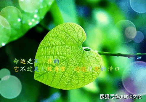 7efe8a2a8101426295d0aa7d17c51b6c.png