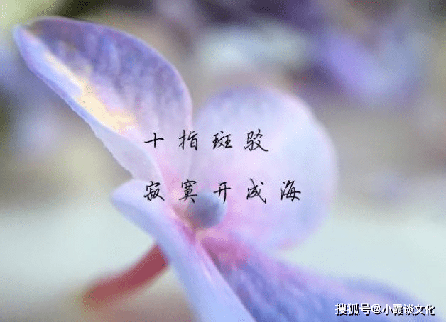 一個人心裡很累的傷感短句,傷心欲絕,總有一句話說中你的心事