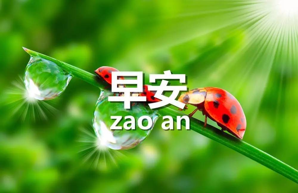 原创8张免打字非常漂亮的夏日早安问候动态表情图片精选夏日早安问候