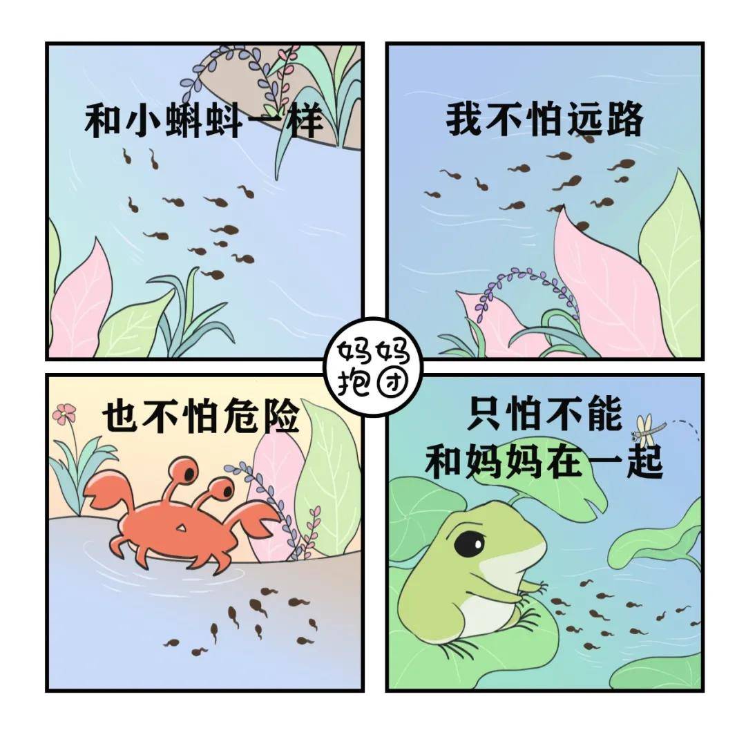 74941de8459e42458325055e0bf0f90c.jpeg