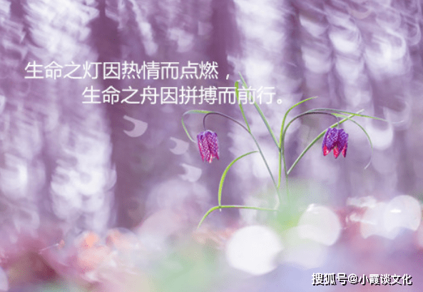 5752f6ad1177452699b0492502f9b7be.png