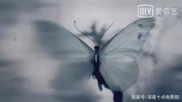 梁帝|你出走半生， 归来仍是初心不改 满腔热血的的林殊哥哥