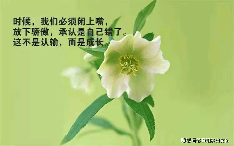 91539a18f0104b0681b857acb49a8bdc.png