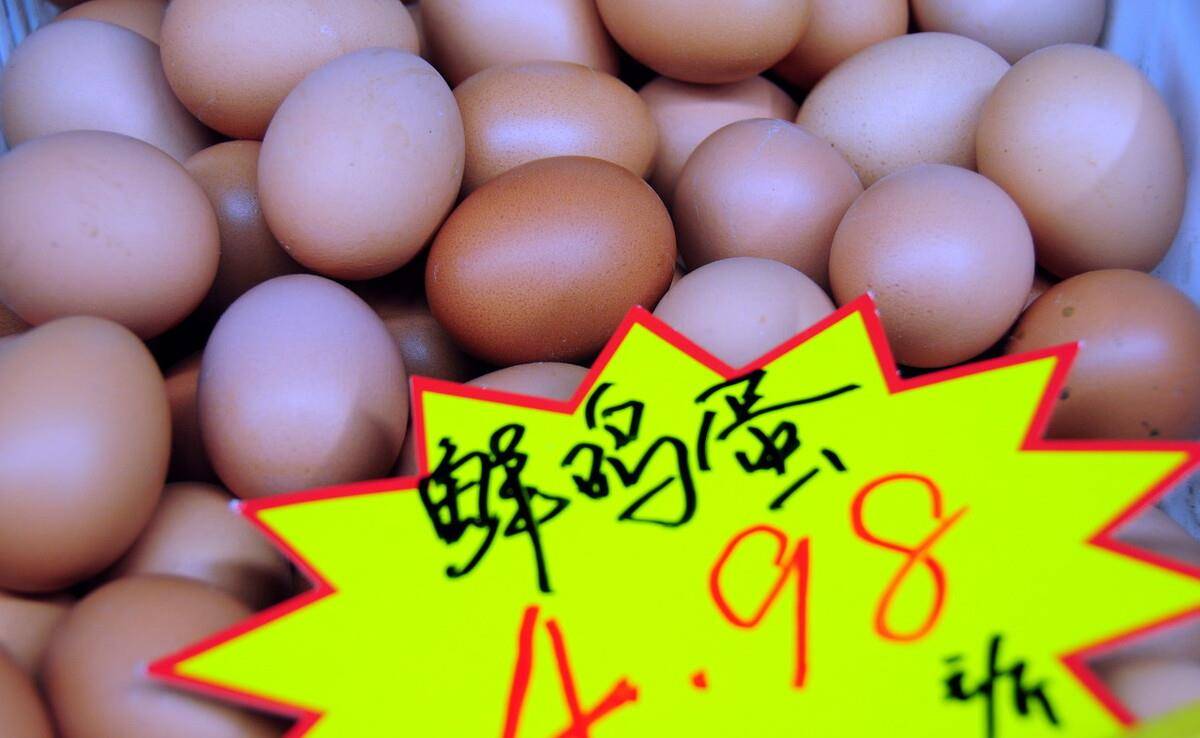 139d271d362a40e986cb94242c1b223e.jpeg