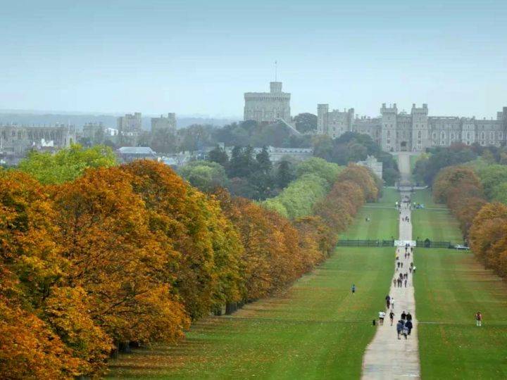 Wines|樂事會,酒庄直采,匠心酿造