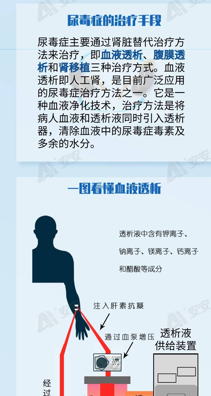 进行|关爱你的肾！看到血液透析你还敢乱来吗？