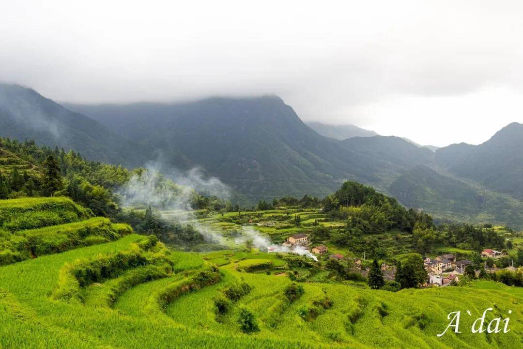 夏日长|大暑 | 长夏终有时，但惜夏日长