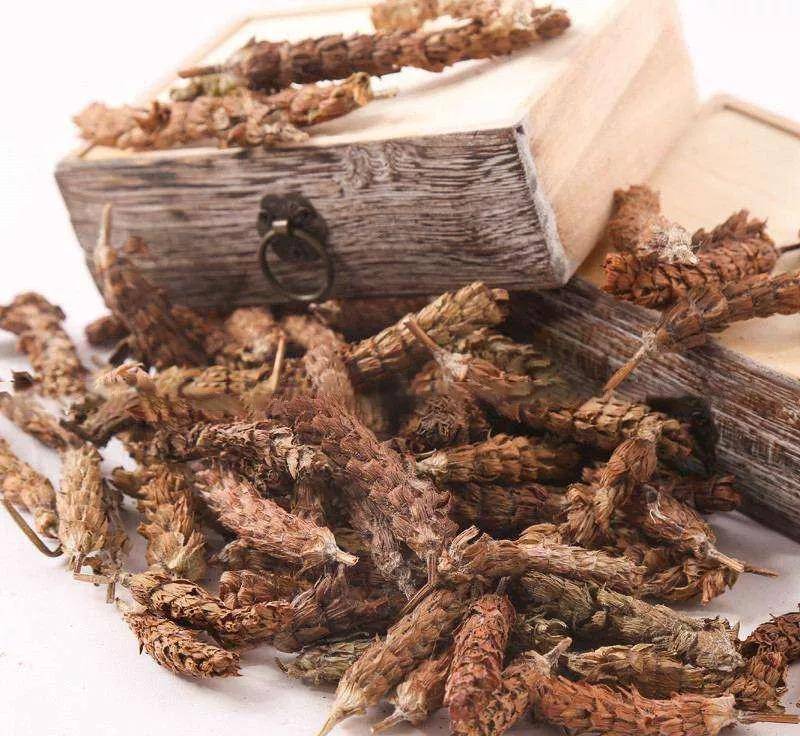 夏日长|大暑 | 长夏终有时，但惜夏日长