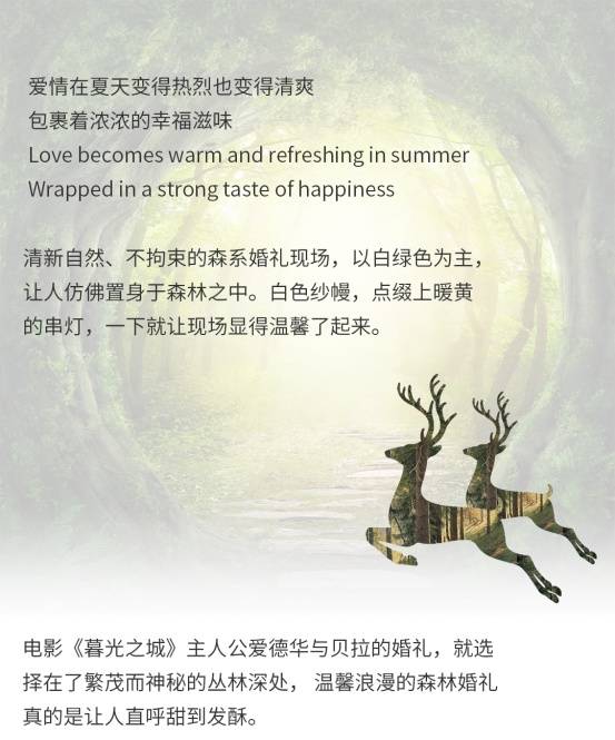 Forest Wedding 持续升温的高甜瞬间 南通地区堪比仙境的森系婚礼 隆平联社