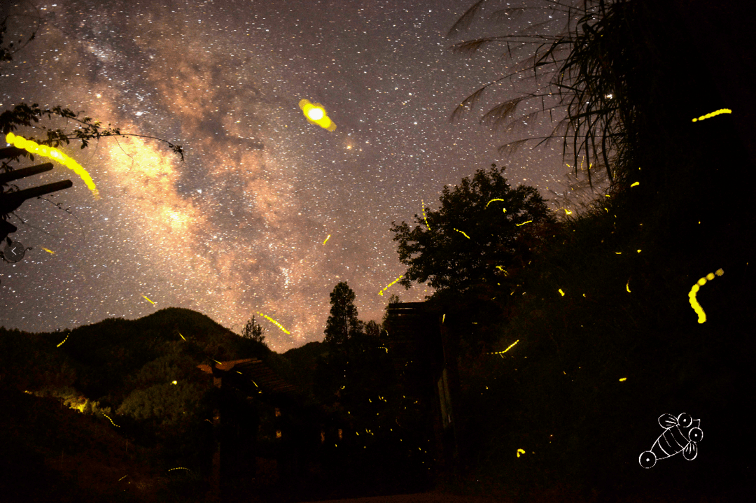夏日长|大暑 | 长夏终有时，但惜夏日长