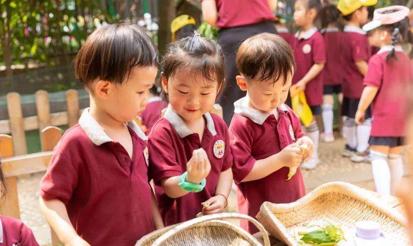 家长|孩子不要提前上小学!爱孩子，就遵循孩子的成长规律！